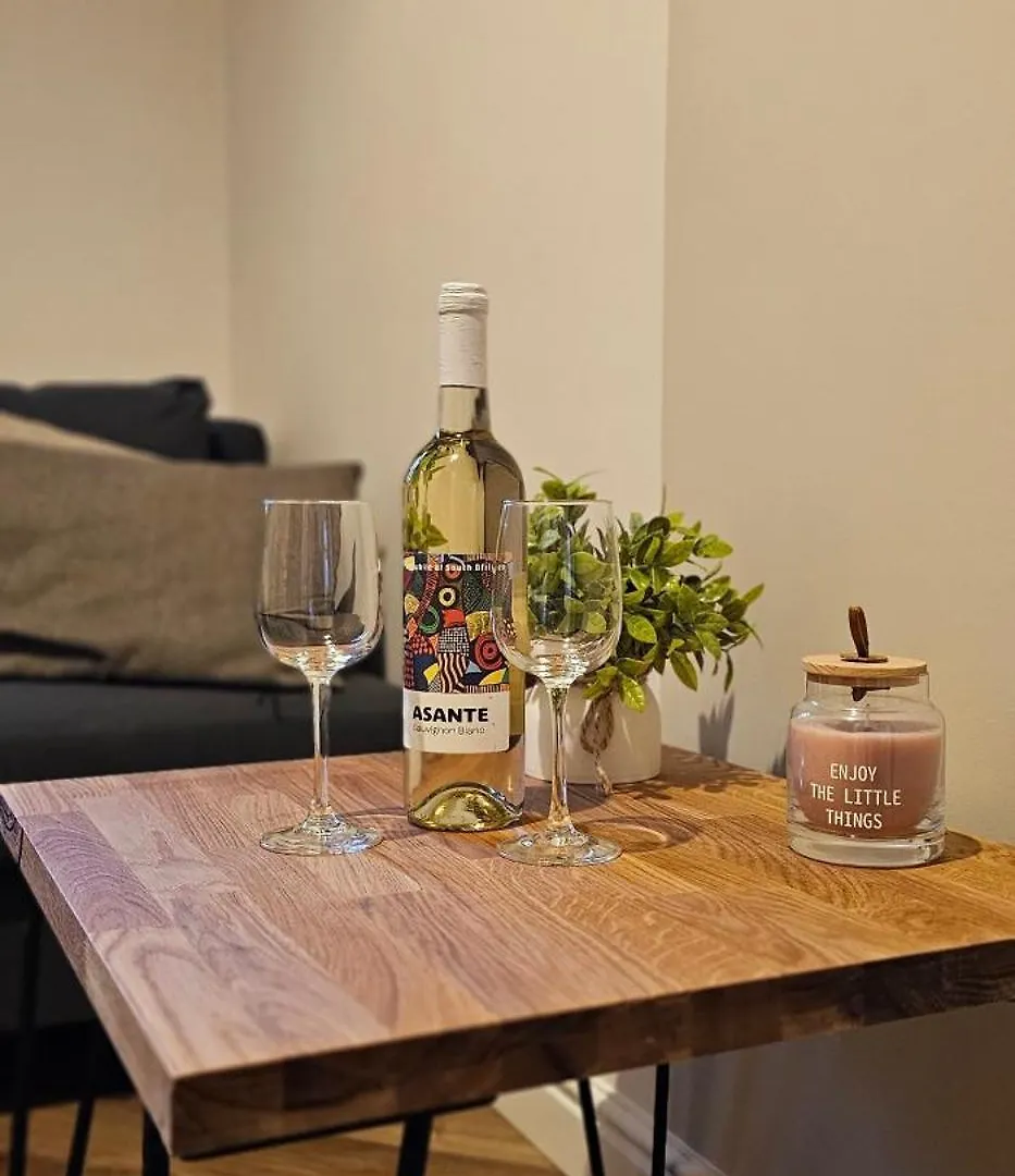 Kamienica Staszica Apartment Danzica